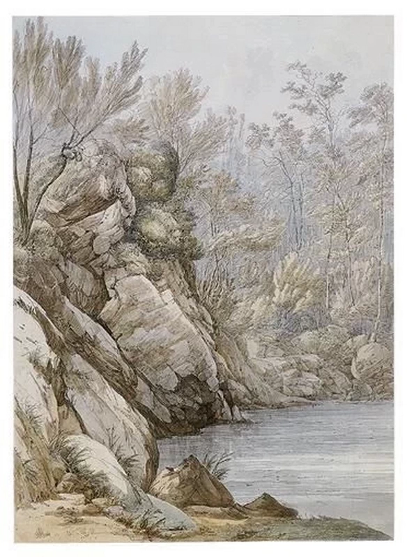 Veduta di un laghetto in un paesaggio boschivo, Galles del Nord